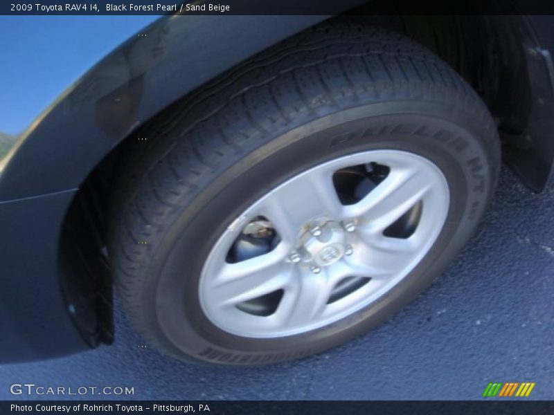 Black Forest Pearl / Sand Beige 2009 Toyota RAV4 I4