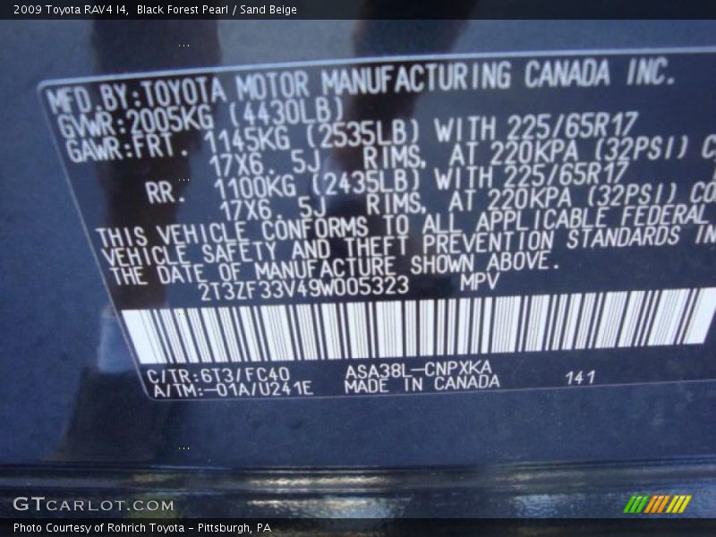 Black Forest Pearl / Sand Beige 2009 Toyota RAV4 I4
