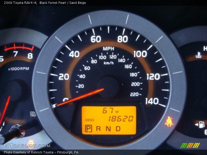 Black Forest Pearl / Sand Beige 2009 Toyota RAV4 I4