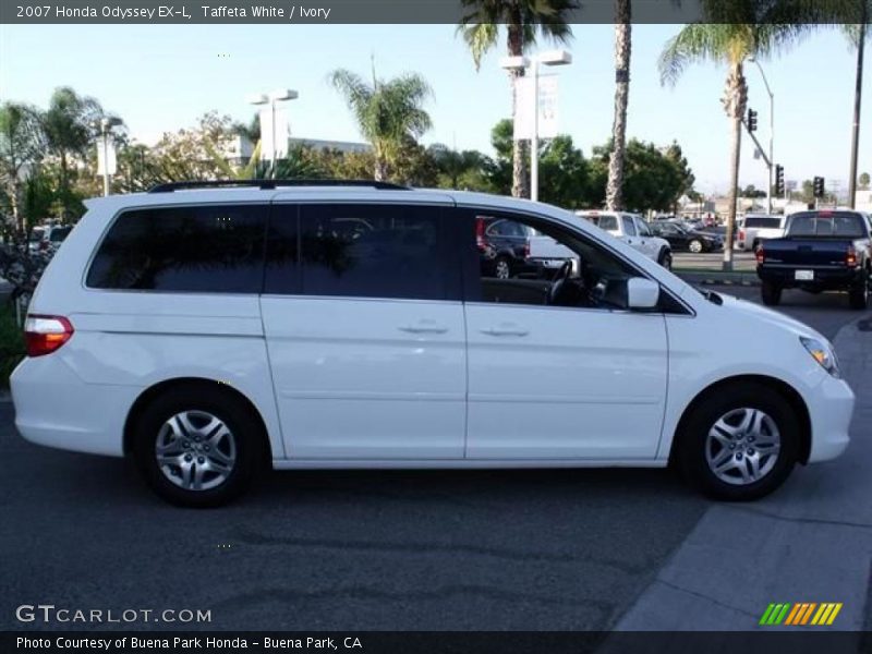 Taffeta White / Ivory 2007 Honda Odyssey EX-L