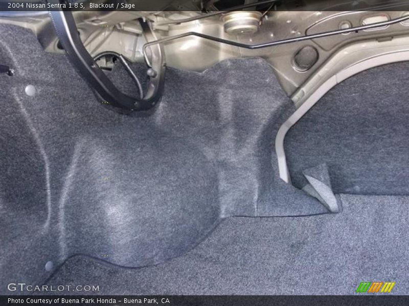 Blackout / Sage 2004 Nissan Sentra 1.8 S