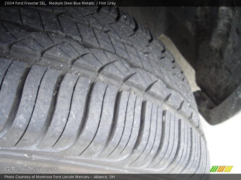 Medium Steel Blue Metallic / Flint Grey 2004 Ford Freestar SEL