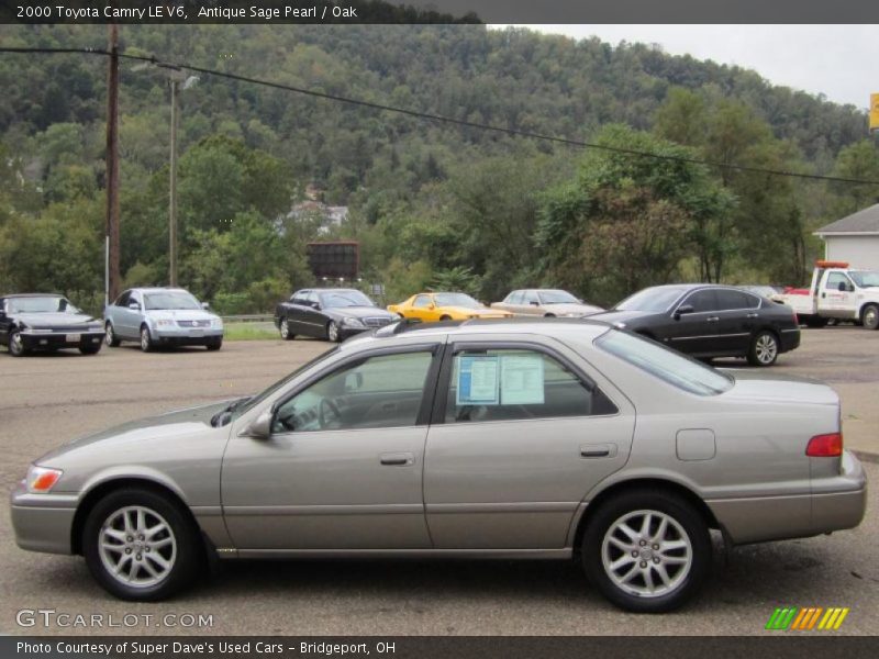 Antique Sage Pearl / Oak 2000 Toyota Camry LE V6