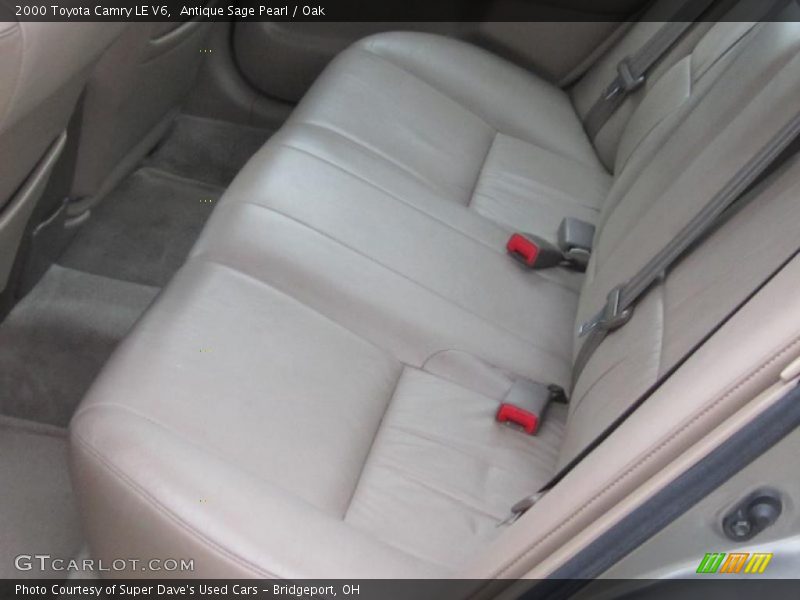 Antique Sage Pearl / Oak 2000 Toyota Camry LE V6