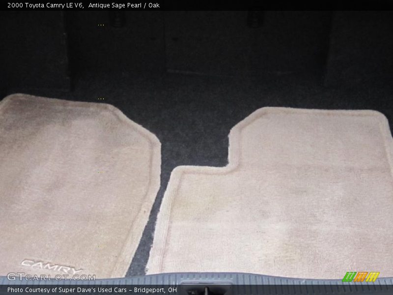 Antique Sage Pearl / Oak 2000 Toyota Camry LE V6