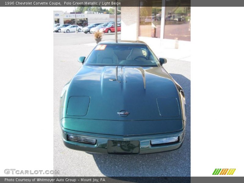Polo Green Metallic / Light Beige 1996 Chevrolet Corvette Coupe