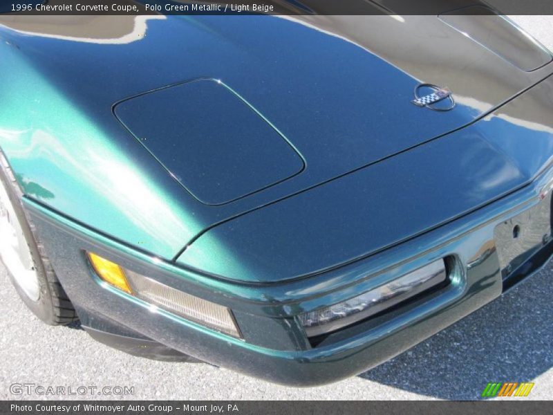 Polo Green Metallic / Light Beige 1996 Chevrolet Corvette Coupe