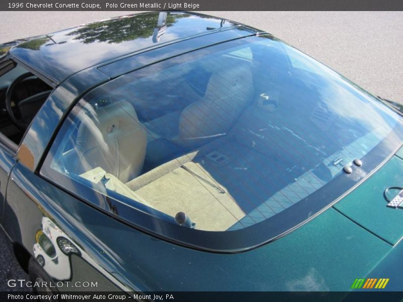 Polo Green Metallic / Light Beige 1996 Chevrolet Corvette Coupe