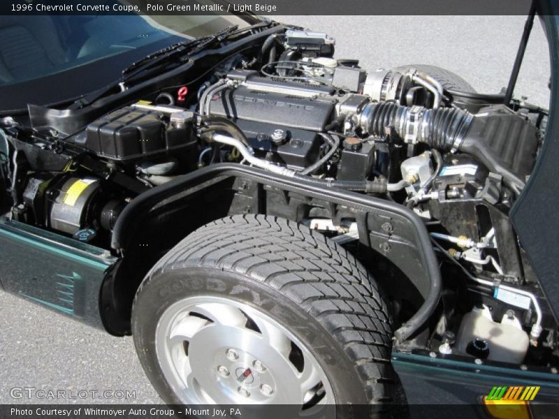 Polo Green Metallic / Light Beige 1996 Chevrolet Corvette Coupe