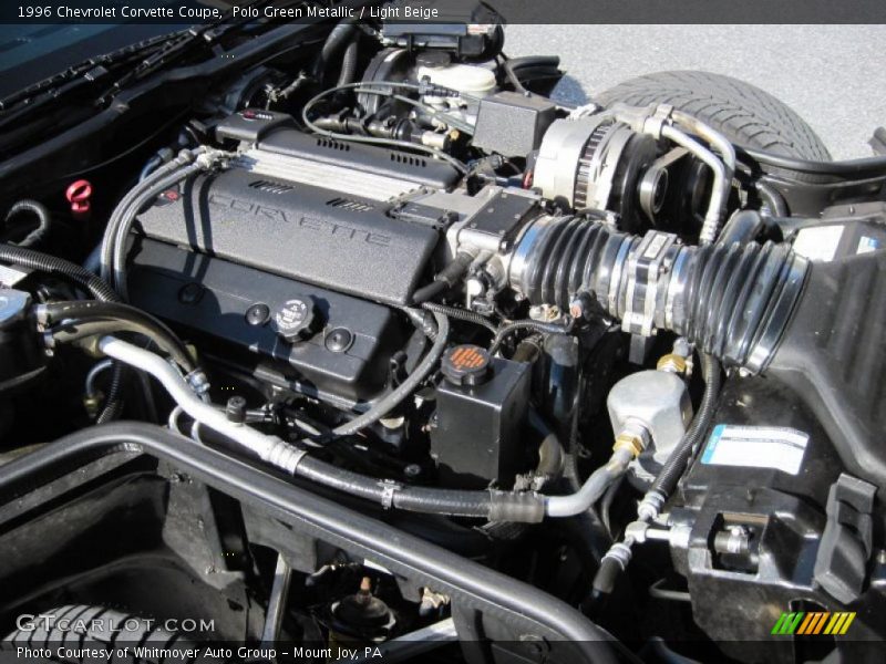 Polo Green Metallic / Light Beige 1996 Chevrolet Corvette Coupe