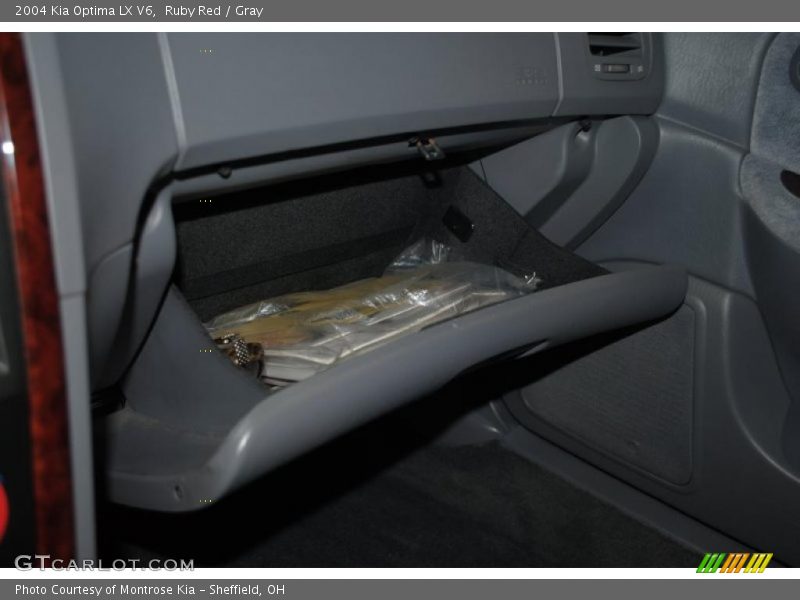Ruby Red / Gray 2004 Kia Optima LX V6
