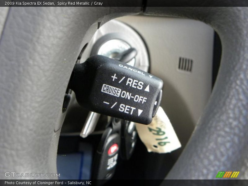 Spicy Red Metallic / Gray 2009 Kia Spectra EX Sedan