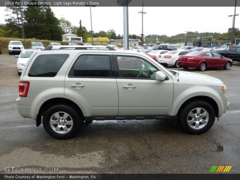 Light Sage Metallic / Stone 2009 Ford Escape Limited