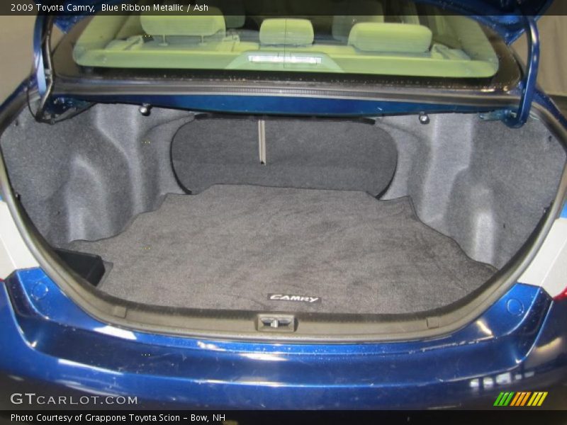 Blue Ribbon Metallic / Ash 2009 Toyota Camry