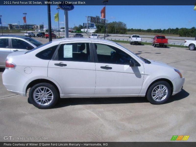 White Suede / Charcoal Black 2011 Ford Focus SE Sedan