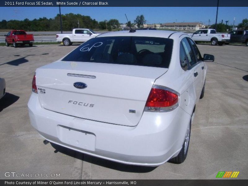 White Suede / Charcoal Black 2011 Ford Focus SE Sedan