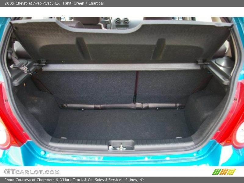 Tahiti Green / Charcoal 2009 Chevrolet Aveo Aveo5 LS