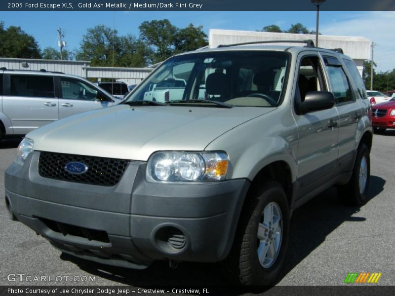 Gold Ash Metallic / Medium/Dark Flint Grey 2005 Ford Escape XLS
