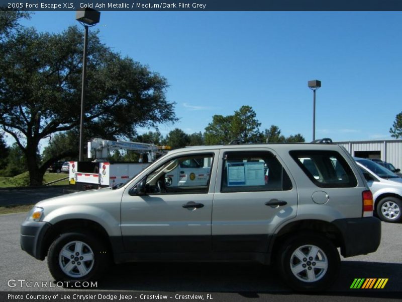Gold Ash Metallic / Medium/Dark Flint Grey 2005 Ford Escape XLS