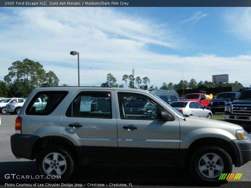 Gold Ash Metallic / Medium/Dark Flint Grey 2005 Ford Escape XLS