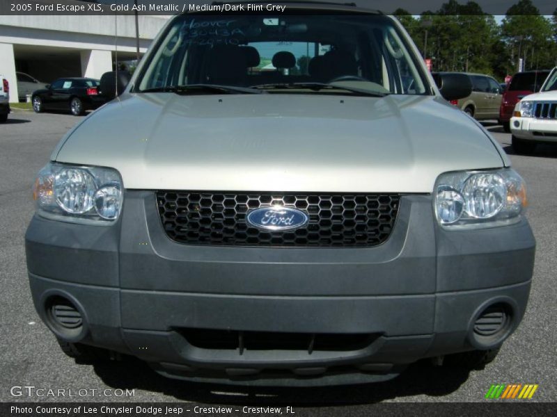 Gold Ash Metallic / Medium/Dark Flint Grey 2005 Ford Escape XLS