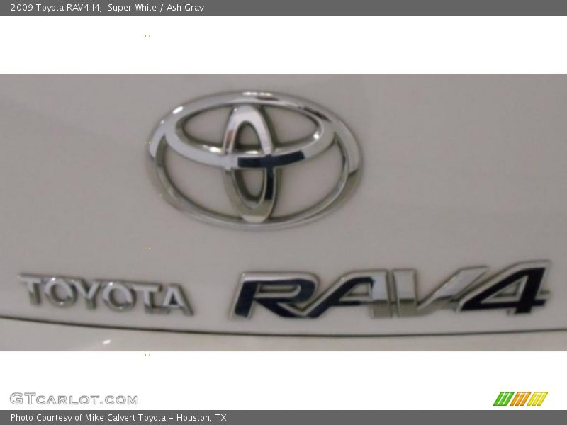 Super White / Ash Gray 2009 Toyota RAV4 I4
