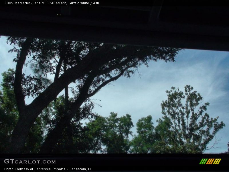 Arctic White / Ash 2009 Mercedes-Benz ML 350 4Matic