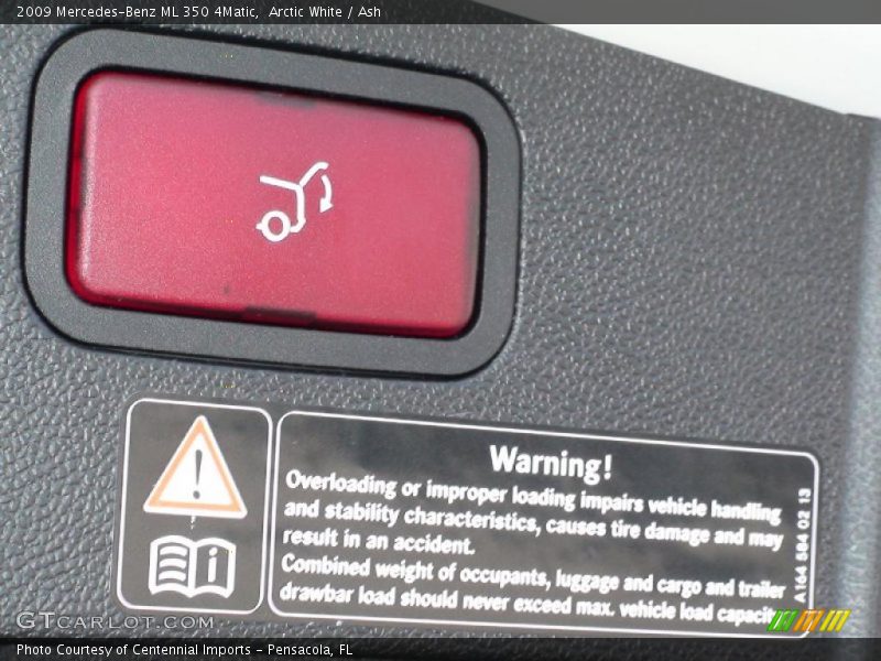 Arctic White / Ash 2009 Mercedes-Benz ML 350 4Matic