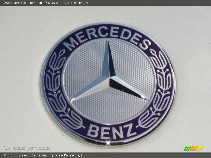 Arctic White / Ash 2009 Mercedes-Benz ML 350 4Matic