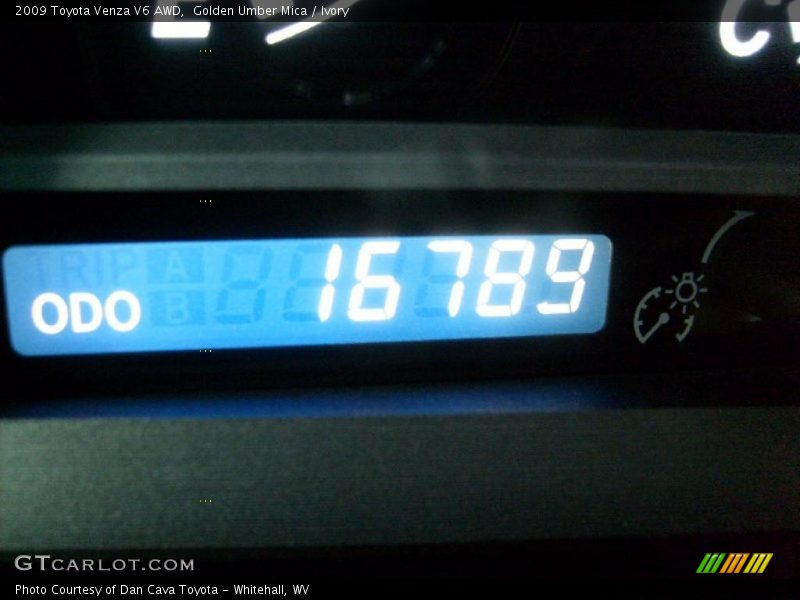 Golden Umber Mica / Ivory 2009 Toyota Venza V6 AWD