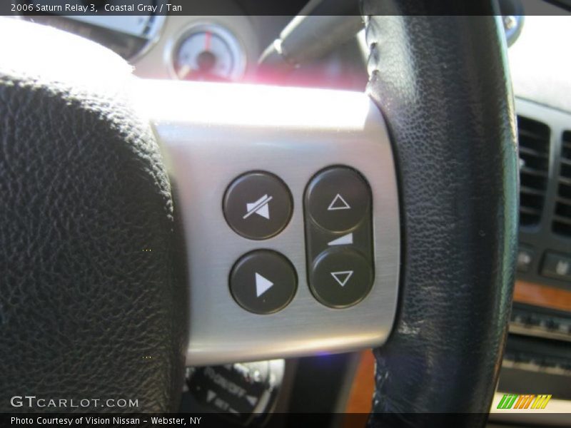 Coastal Gray / Tan 2006 Saturn Relay 3