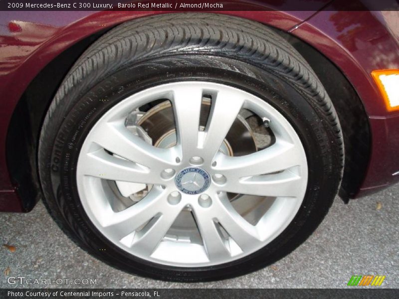 Barolo Red Metallic / Almond/Mocha 2009 Mercedes-Benz C 300 Luxury