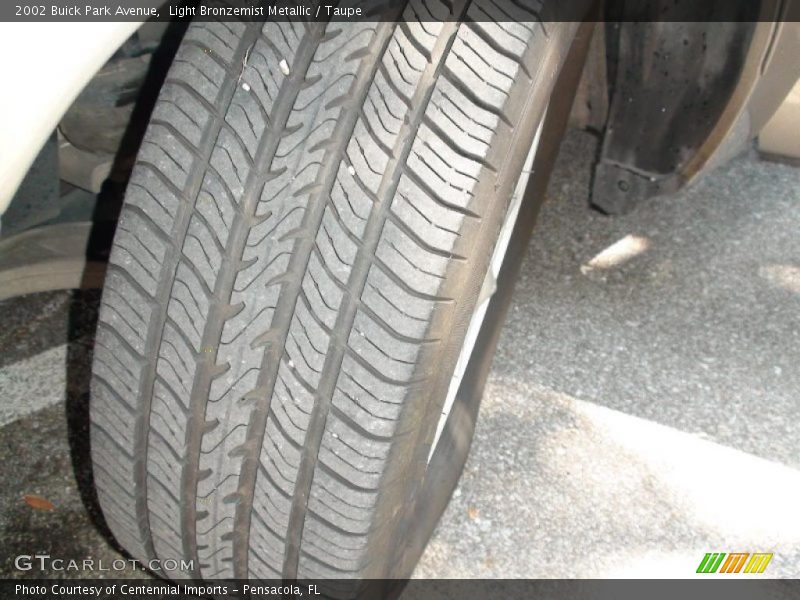 Light Bronzemist Metallic / Taupe 2002 Buick Park Avenue