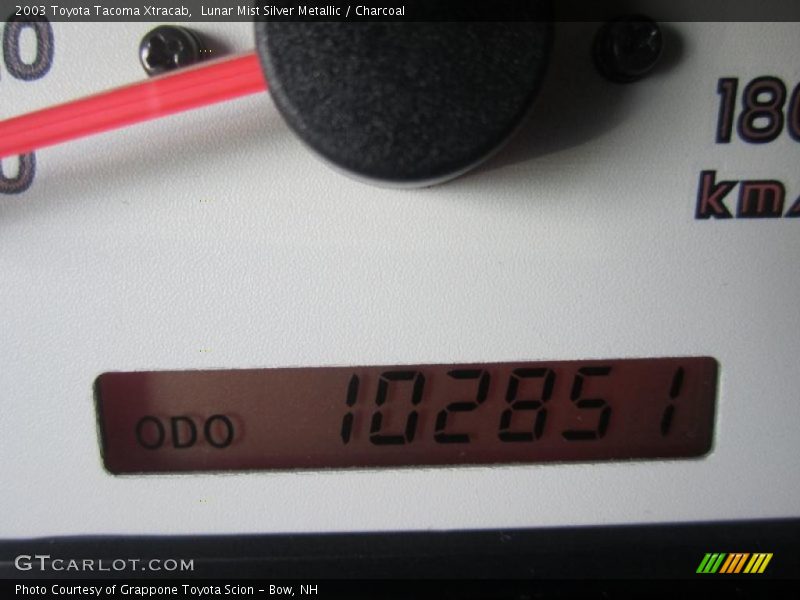 Lunar Mist Silver Metallic / Charcoal 2003 Toyota Tacoma Xtracab