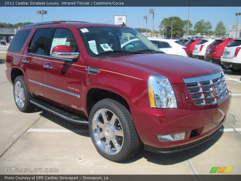 Infrared Tincoat / Cashmere/Cocoa 2011 Cadillac Escalade Luxury