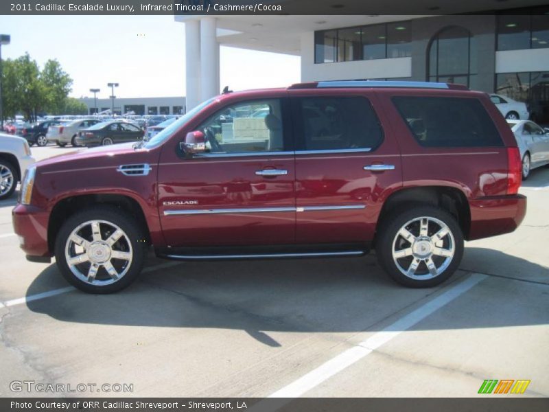Infrared Tincoat / Cashmere/Cocoa 2011 Cadillac Escalade Luxury