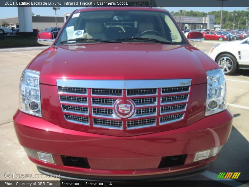 Infrared Tincoat / Cashmere/Cocoa 2011 Cadillac Escalade Luxury