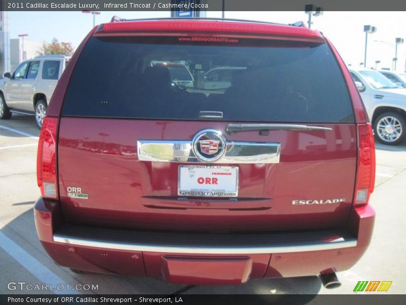 Infrared Tincoat / Cashmere/Cocoa 2011 Cadillac Escalade Luxury