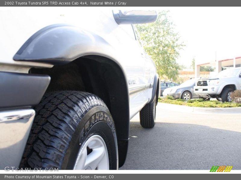 Natural White / Gray 2002 Toyota Tundra SR5 TRD Access Cab 4x4