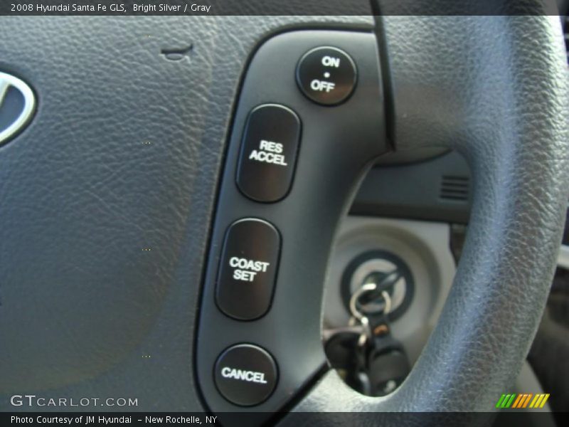 Bright Silver / Gray 2008 Hyundai Santa Fe GLS