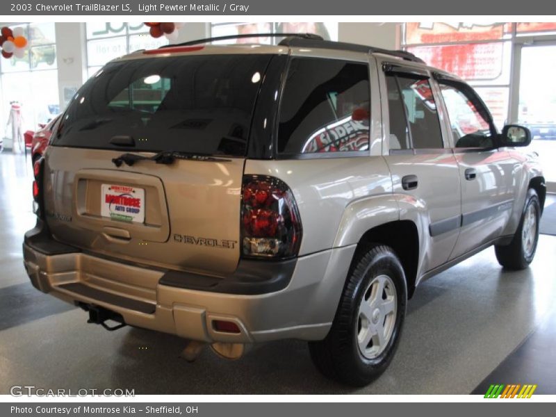 Light Pewter Metallic / Gray 2003 Chevrolet TrailBlazer LS