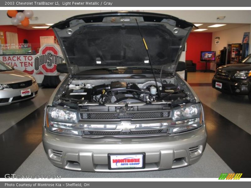 Light Pewter Metallic / Gray 2003 Chevrolet TrailBlazer LS