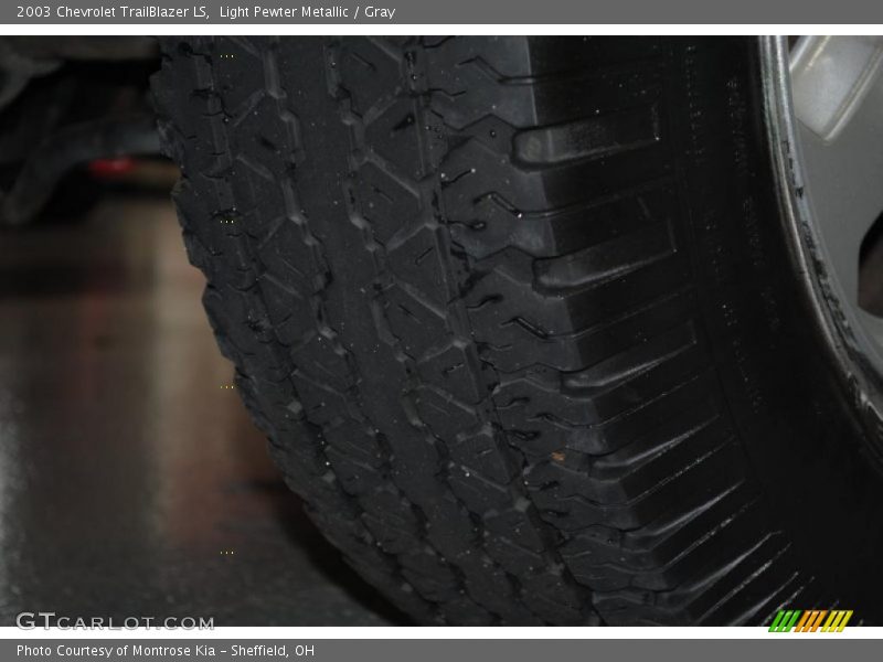 Light Pewter Metallic / Gray 2003 Chevrolet TrailBlazer LS