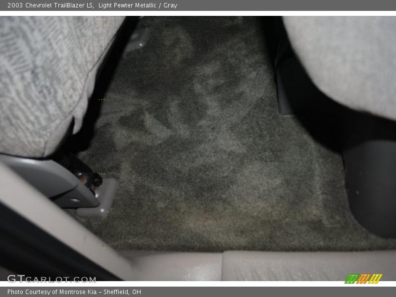 Light Pewter Metallic / Gray 2003 Chevrolet TrailBlazer LS