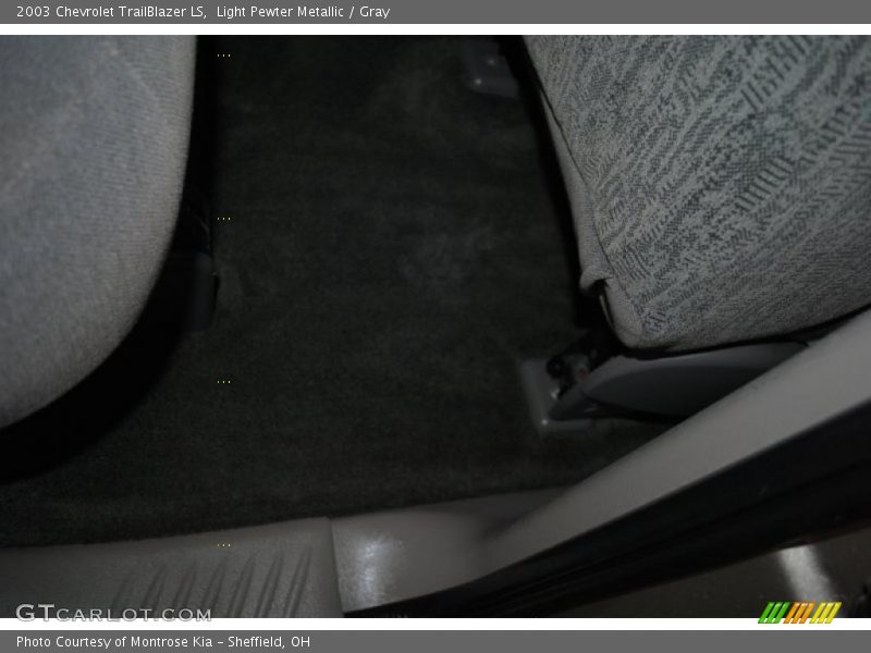 Light Pewter Metallic / Gray 2003 Chevrolet TrailBlazer LS