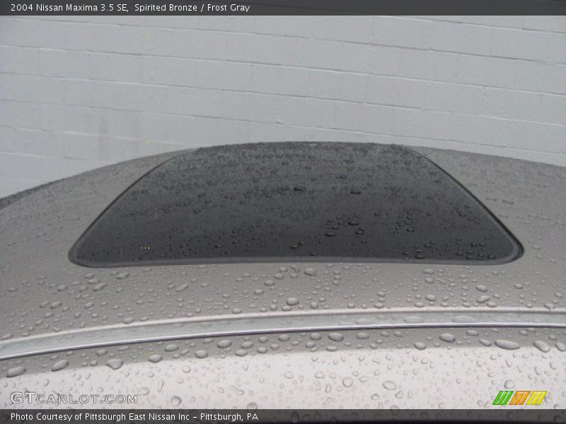 Spirited Bronze / Frost Gray 2004 Nissan Maxima 3.5 SE
