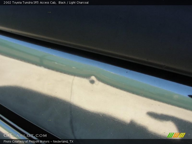 Black / Light Charcoal 2002 Toyota Tundra SR5 Access Cab