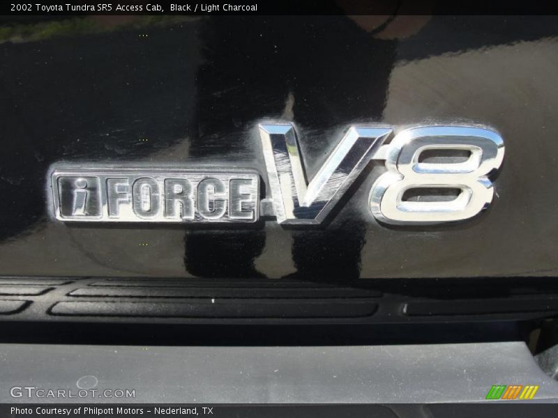 Black / Light Charcoal 2002 Toyota Tundra SR5 Access Cab