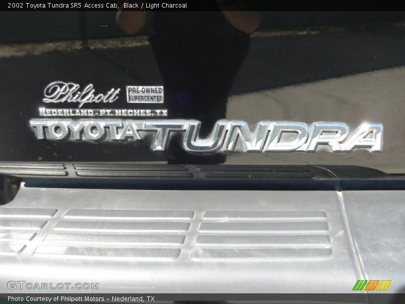 Black / Light Charcoal 2002 Toyota Tundra SR5 Access Cab