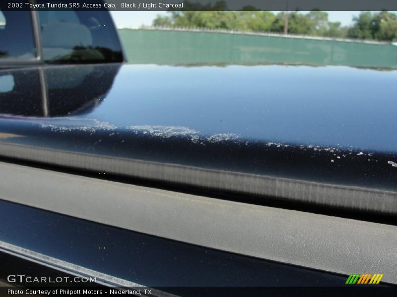 Black / Light Charcoal 2002 Toyota Tundra SR5 Access Cab